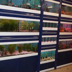 aquariophilie-anima-centre (2).jpg